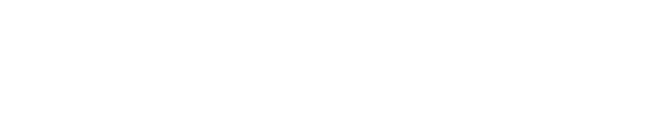 BizForce