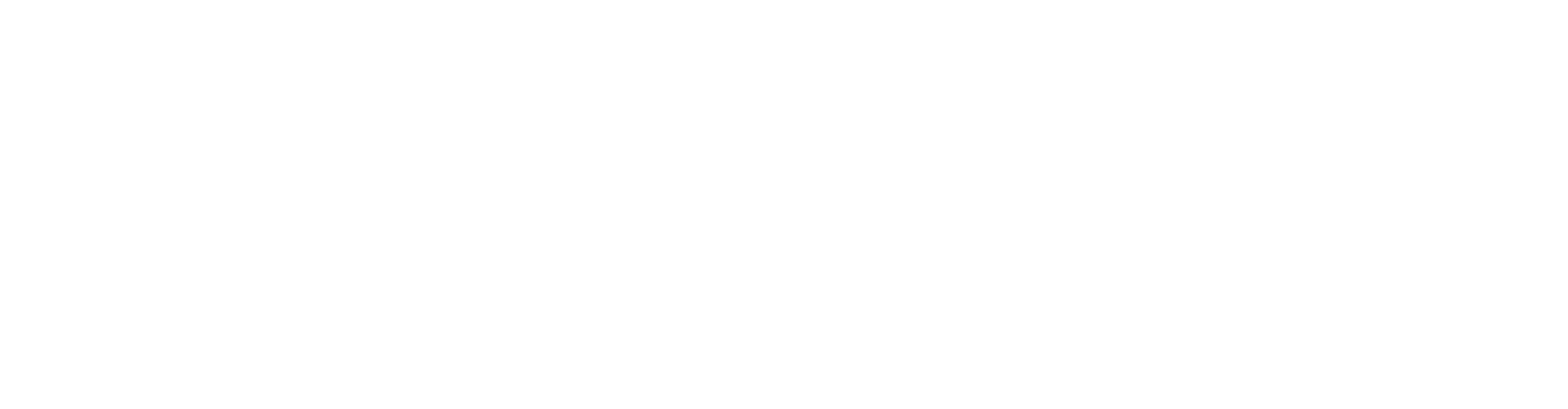 LionWheel