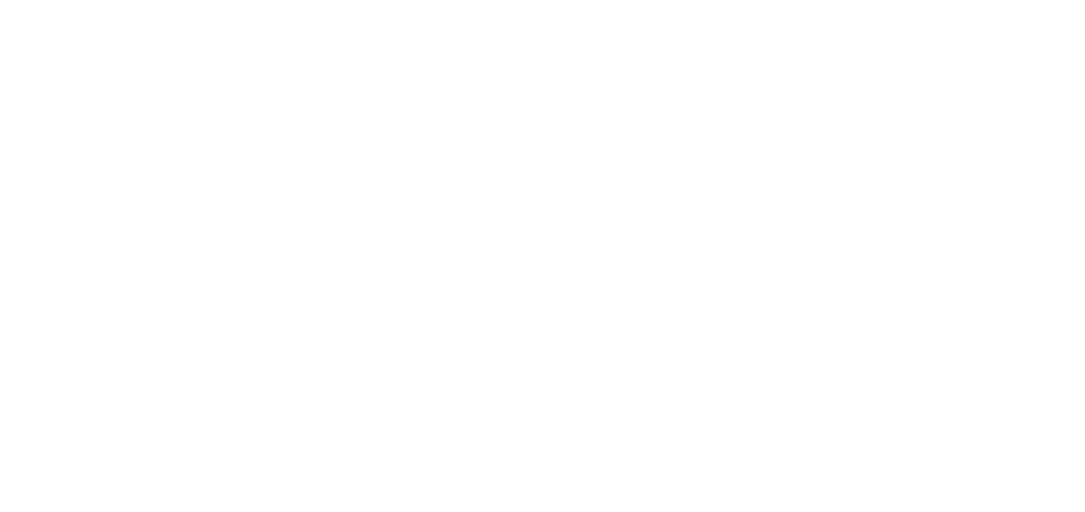 Optiskin